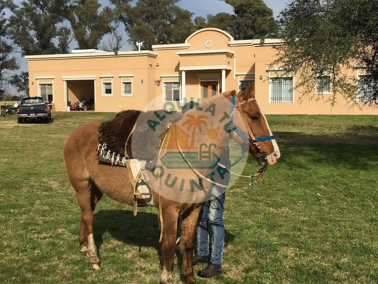 Fauna autóctona y caballos - Estancia N.º 15 — Lobos