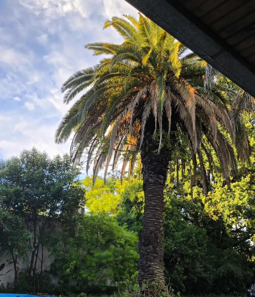 Vista del parque - Quinta N.º 7 — Llavallol