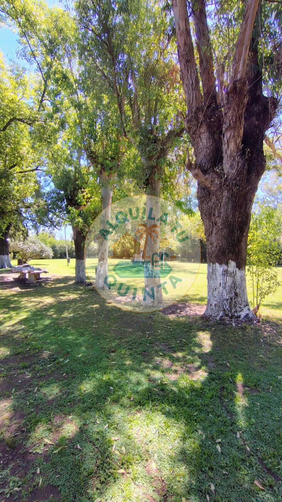 Pileta y parque