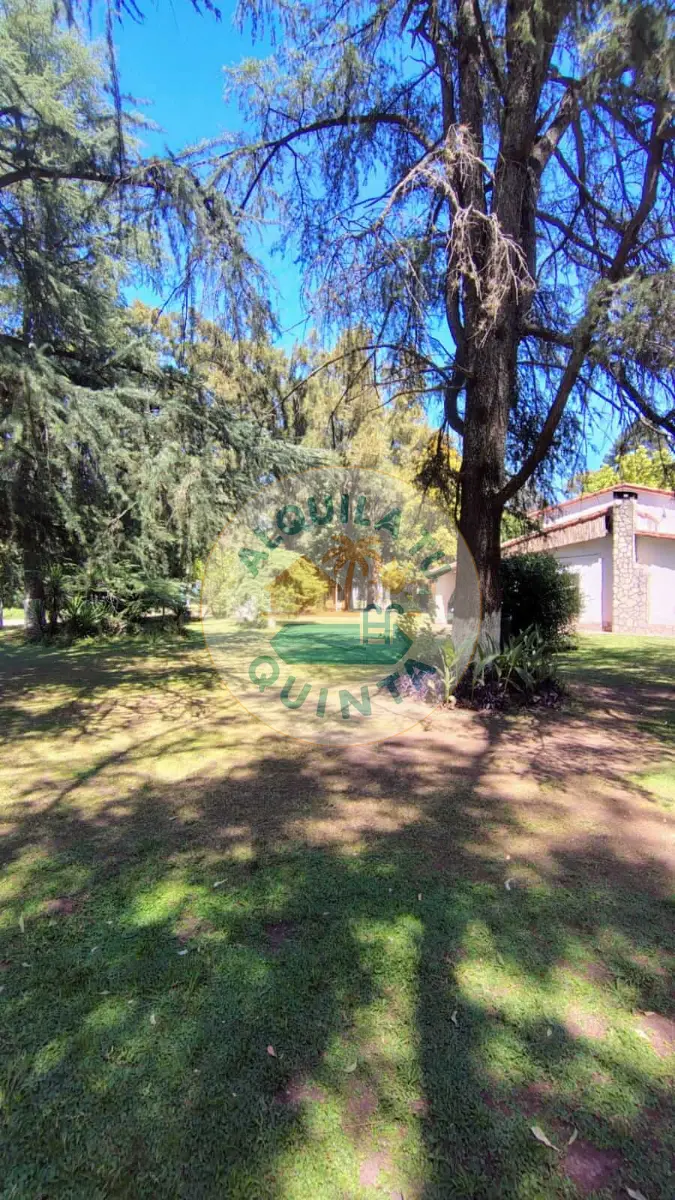 Vista del parque - Quinta N.º 8 — Francisco Álvarez