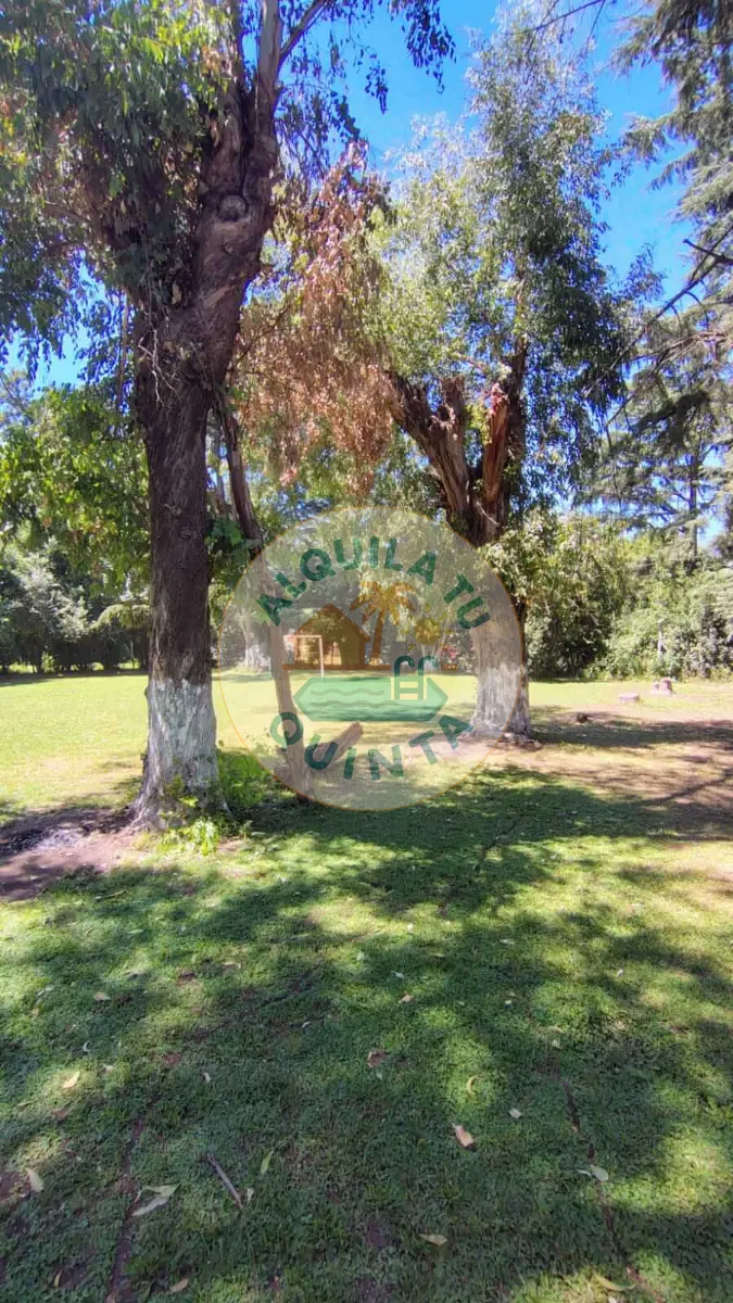 Pileta y parque - Quinta N.º 8 — Francisco Álvarez